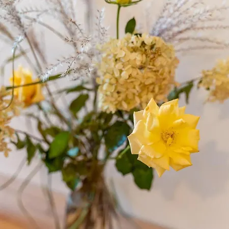 Lägenhet Nad Niwka *