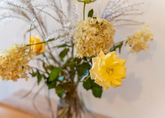 Appartamento Nad Niwka *